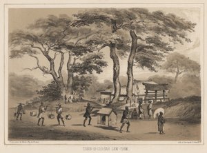 Tashan-di-sioo-co, Lev Chiu, 1855 (litografi) af Wilhelm Joseph Heine