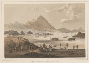 Udsigt over Hong Kong fra East Point, 1855 af Wilhelm Joseph Heine