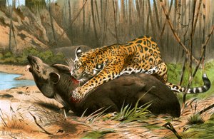 Jaguar dræber tapir af Wilhelm Kuhnert