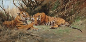 Tigers at Dawn, 1913 af Wilhelm Kuhnert