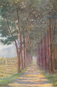 Fir Avenue, 