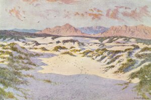 På sandbakkerne nær Muizenberg (farvelitografi)