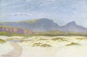Sanddyner (farvelitografi)