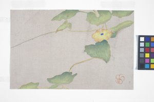 Flower Study, ca. 1908 (træblok i farver) af Wilhelmina Seegmiller