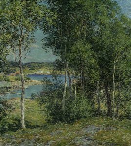 En Birkefamilie, 1907.