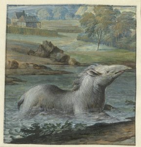 Tapir i vandet af Willem Hendrik Wilhelmus van Royen