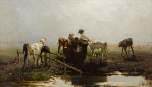 Kalve ved et trug