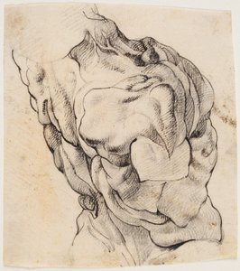 Anatomisk undersøgelse (écorché). Torso af en flået mand set fra bagsiden halvt vendt mod højre af Willem Panneels