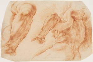 Laocoon. Studier af Laocoons venstre arm og af bagsiden af hans torso set fra venstre og nedefra