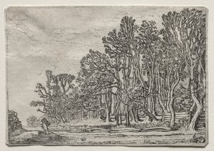 Landskabernes sæt: To plankehække af Willem Pietersz Buytewech