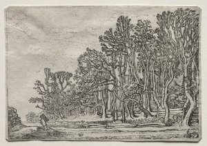 The Set of the Landscapes: Two Plank-Hedges, 1616.