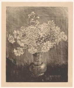 Krysantemum i en vase