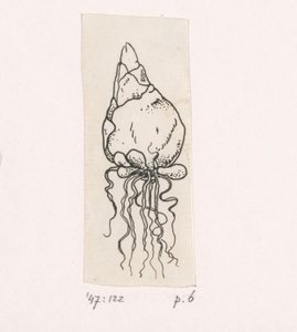 blomsterløg af Willem Wenckebach