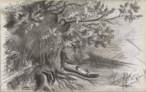 Landskab med et stort træ i Rhenen af Willem Arnoldus Witsen