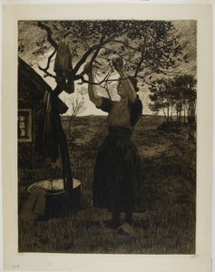 Æbletræet af Willem Arnoldus Witsen