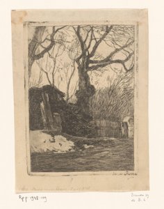 Træer og bøsser ved et hegn Kviste nær et hegn med træer (original titel)