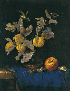 Stilleben med frugt