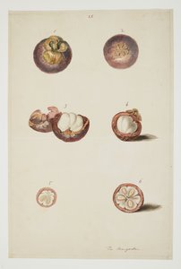 WD 961 f.25 af William Alexander
