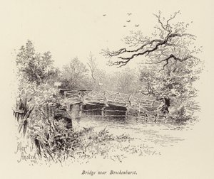 Bro nær Brockenhurst (gravering) af William Alexander Ansted