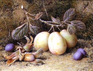 Stilleben med blommer og nødder