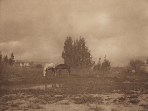Pasadena Landskab, 1899. af William B Post
