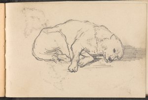 Skitse af en sovende hund, 1879 ca af William Barnes Wollen