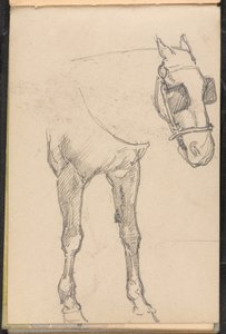 Skitse af hest med blink, 1879 ca af William Barnes Wollen