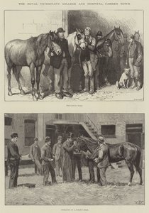 Royal Veterinary College og Hospital, Camden Town af William Barnes Wollen