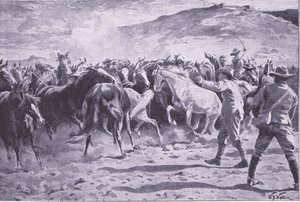 Fangsten af hestene i Brandwater-distriktet nær Fouriesburg: afrunding af flokken, illustration fra After Pretoria: The Guerilla War, 1902 af William Barnes Wollen