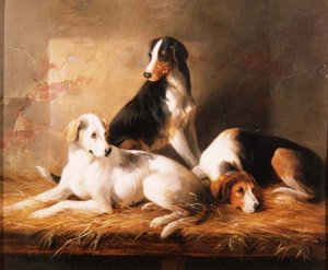 Tre hunde i en stald
