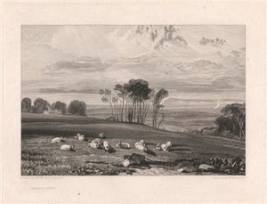 Crowhurst, Sussex af William Bernard Cooke