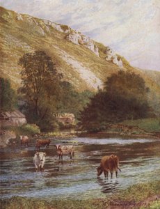 On the Wye, Upper Dale Farm, Monsal Dale (farve litho) af William Biscombe Gardner