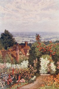 The Weald fra Doctor