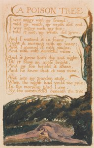 Sange om uskyld og om erfaring, plade 41, "A Poison Tree" (Bentley 49)