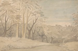 Et træagtigt landskab af William Blake