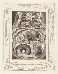 Behemoth og Leviathan, 1825. af William Blake