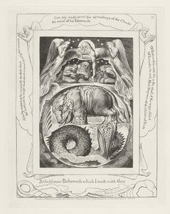 Se nu Behemoth, som jeg lavede med dig af William Blake