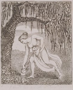 I Found Him Beneath a Tree, plade 3 fra 