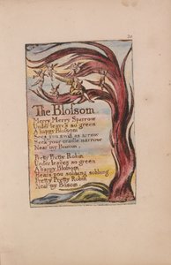 Songs of Innocence and of Experience, Plate 20, The Blossom (Bentley 11) af William Blake