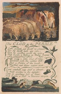 Sange om uskyld og erfaring, plade 36, The Clod and the Pebble (Bentley 32) af William Blake