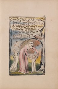 Sange om uskyld og erfaring, plade 37, flue (Bentley 40) af William Blake