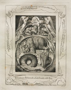 Jobs Bog: Pl. 15, Se nu Behemoth, som jeg lavede med dig af William Blake