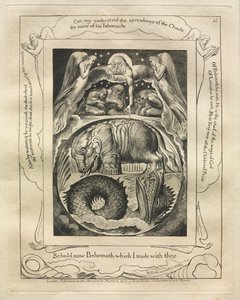 Jobs Bog: Pl. 15, Se nu Behemoth, som jeg lavede med dig af William Blake