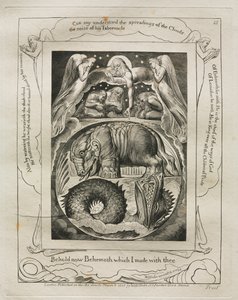 Jobs Bog: Pl. 15, Se nu Behemoth, som jeg lavede med dig, 1825. af William Blake