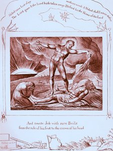 The Book of Job illustrationer af William Blake af William Blake