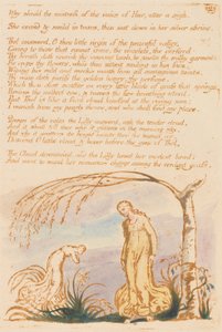 Thels Bog, Plade 4, Hvorfor skulle elskerinden. . . . af William Blake