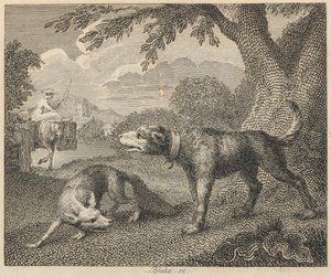 Hunden og Ræven af William Blake