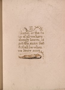 Der er ingen naturlig religion, plade 11, II årsag eller forholdet. . . . (Bentley b4) af William Blake