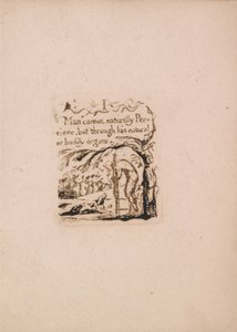 Der er ingen naturlig religion, plade 3, jeg kan ikke naturligt. . . . (Bentley a4) af William Blake