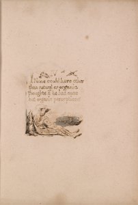Der er ingen naturlig religion, plade 6, IV Ingen kunne have. . . . (Bentley a7) af William Blake